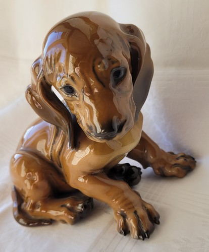 Rosenthal dackel welpe - rosenthal,