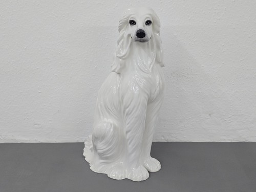 Großer afghanischer windhund - afghanischer,