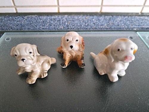 Kleine hunde - kleine,