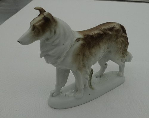 Collie langhaarcollie - collie,,