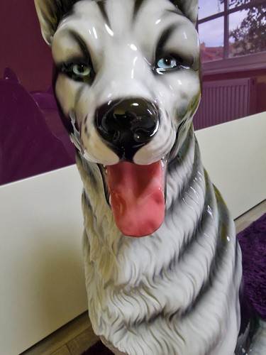 Große vintage husky - vintage,