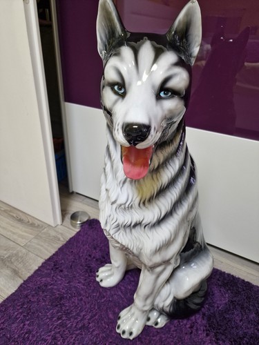 Große vintage husky - große,