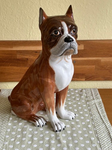 Hund bulldogge boxer welpe - boxer,