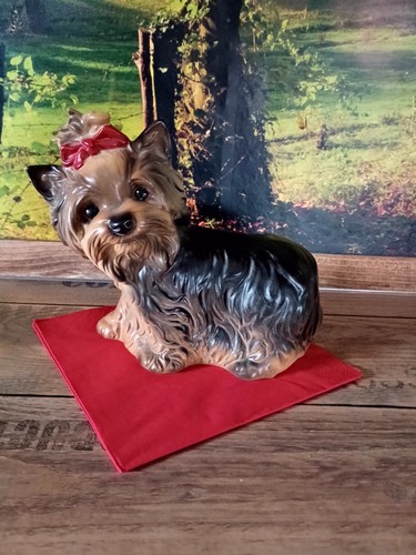 Yorkshire terrier von - von, goebel