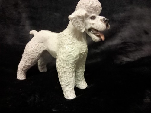 Rosenthal pudel poodle - rosenthal,