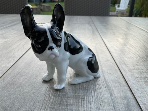 Alte französische bulldogge - alte,